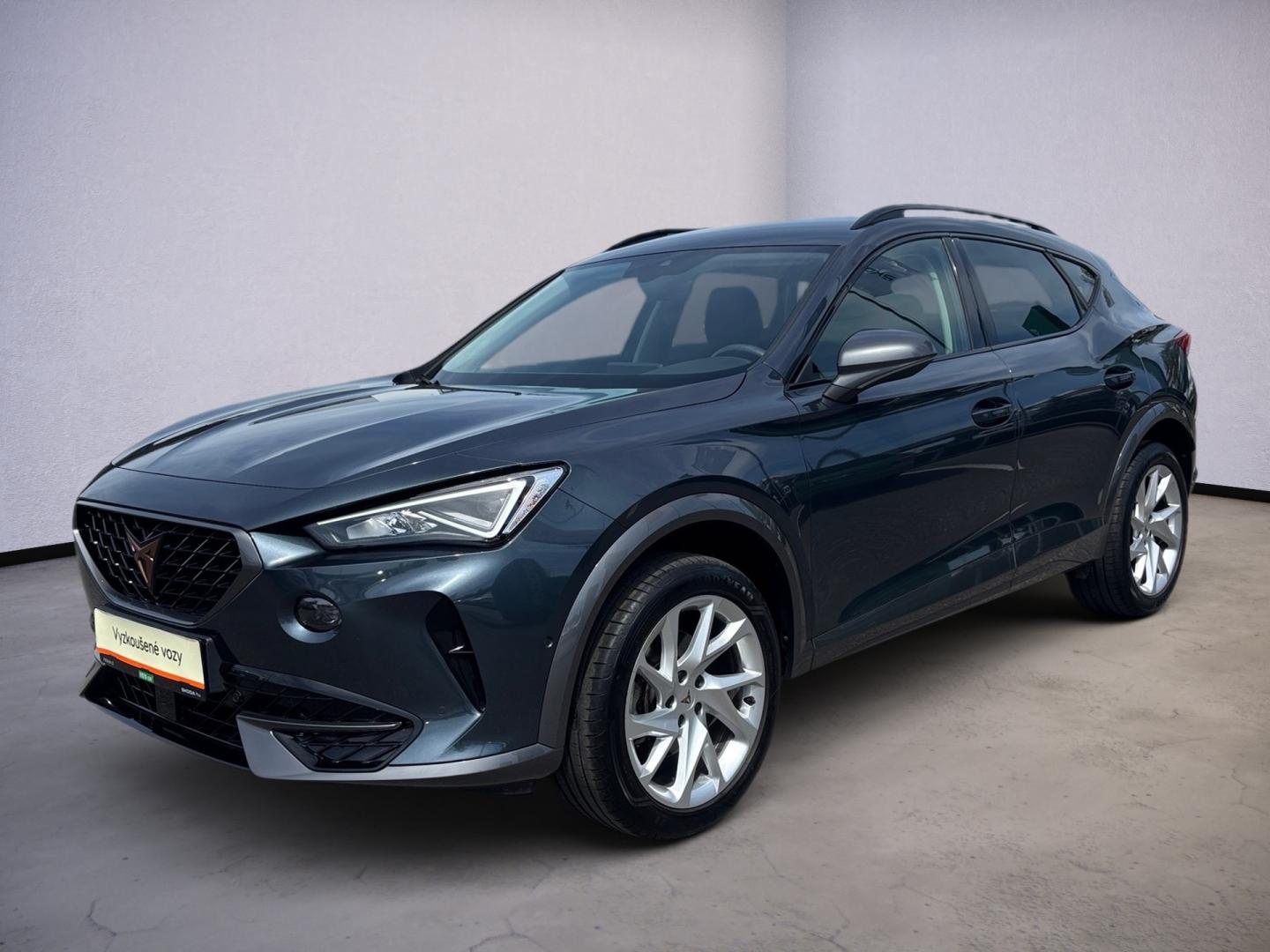 Cupra Formentor 1.5 TSI / 110 kW DSG 